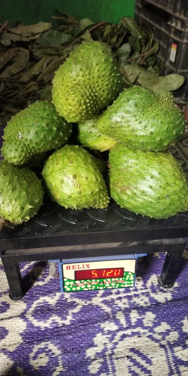 Kmh Soursop Store photo 