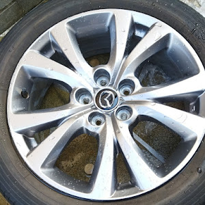 CX-30 DMEP