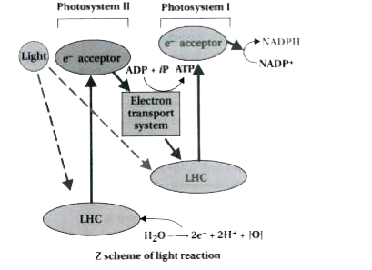 Solution Image