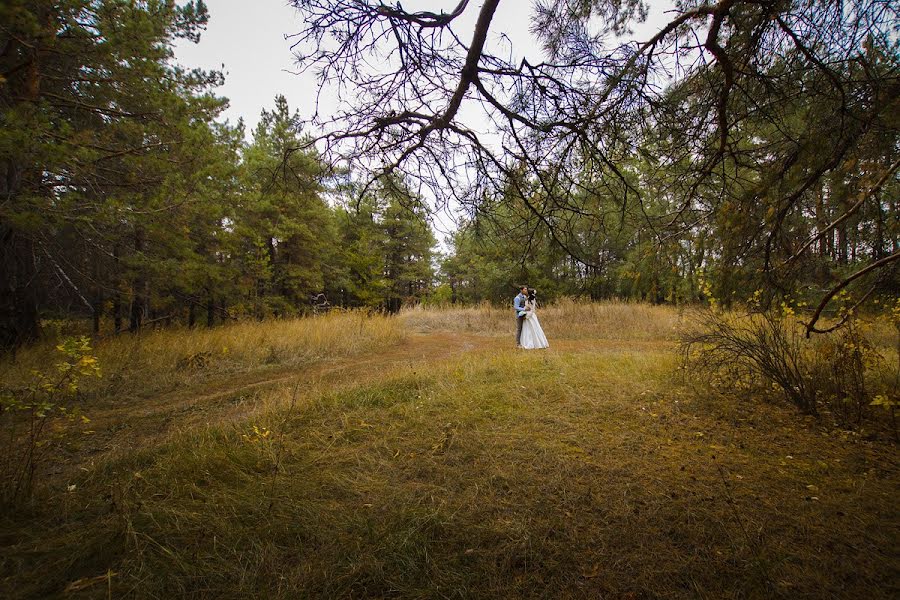 Wedding photographer Mariya Strelkova (mywind). Photo of 9 October 2014