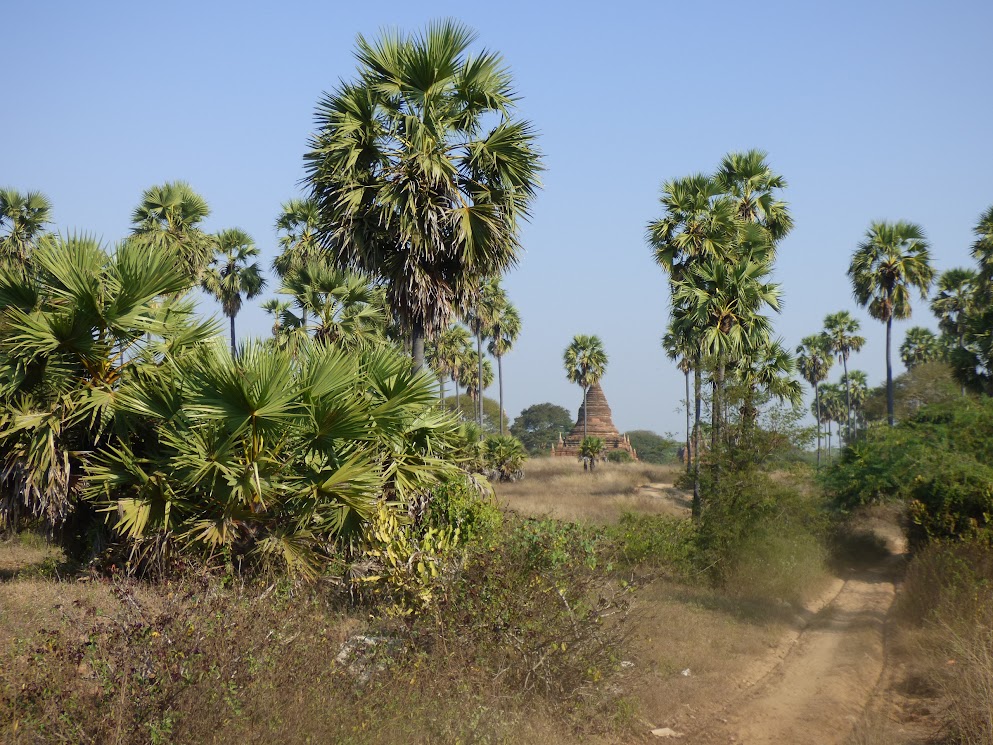 bagan