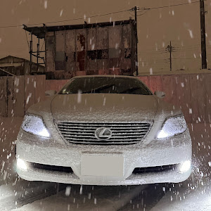 LS