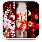 spring live wallpapers  Icon