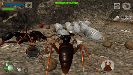 Ant Simulation 3d Insect Survival Game 3 3 4 Apk Android Apps - ant simulator roblox how to get fruits