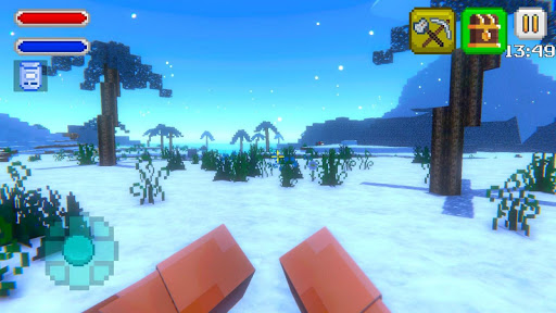 Ice Craft Explore Survival