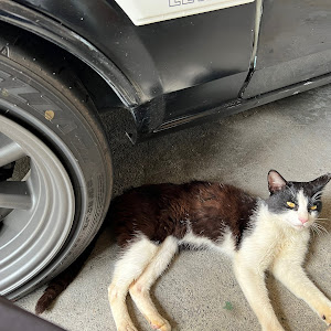 カローラレビン AE86