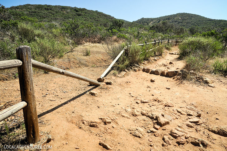 Cowles Mountain Hike San Diego.