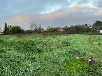 terrain à Mouzeuil-Saint-Martin (85)