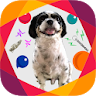 Dog Whistle Free Animated Dog  icon