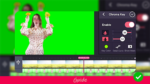 Free Videoleap Pro Video Editor Tips