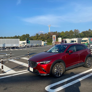 CX-3 DK8FW