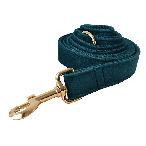 Title 6, Dog Leash and Pet Collar with Alloy Carabiner P...