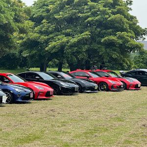 BRZ ZD8