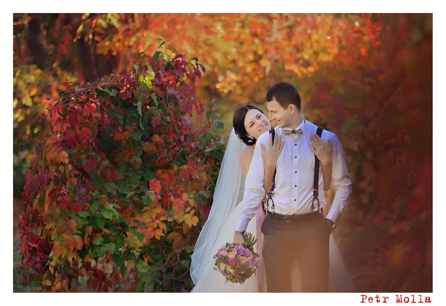 Bryllupsfotograf Petr Molla (mollap). Bilde av 20 oktober 2014