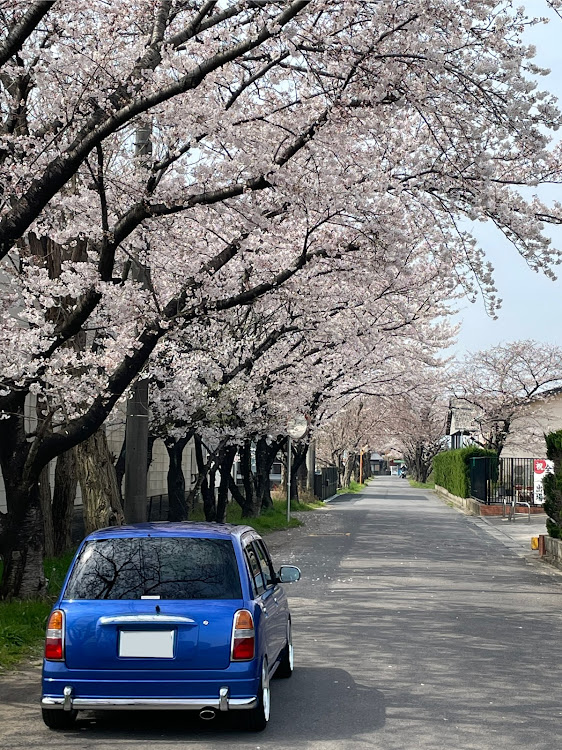 ミラジーノの桜と愛車・桜とコラボ・ミラジーノ L700s・ミラジーノ・L700Sに関するカスタム事例の投稿画像3枚目