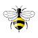 Bee Safety icon