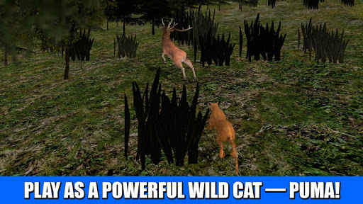 Wild Puma Survival Simulator