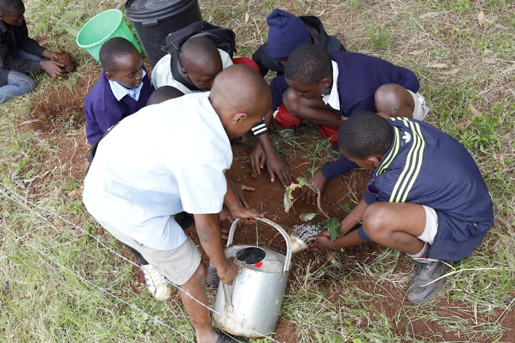 Some of the City Primary pupils planting trees to make the school's 80th anniversary.