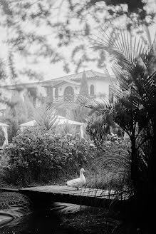 Fotógrafo de casamento Alena Katsura (alenakatsura). Foto de 10 de maio