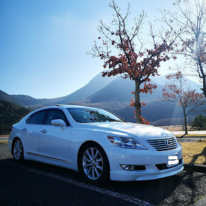 LS USF40