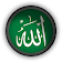 99 Names of Allah icon