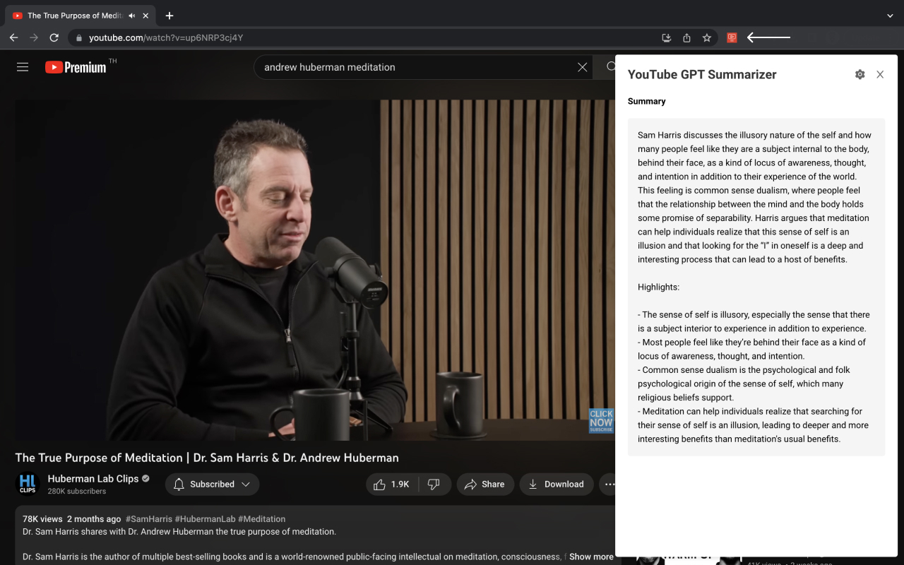 Youtube GPT Summarizer Preview image 0