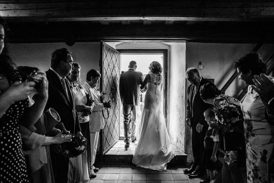 Wedding photographer Petr Hrubes (harymarwell). Photo of 17 August 2017