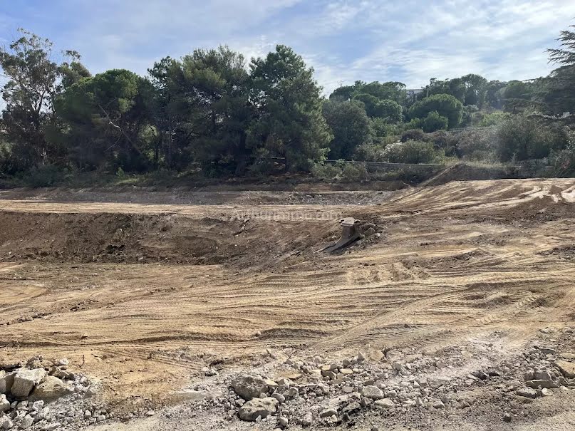 Vente terrain  1103 m² à Calvi (20260), 624 000 €