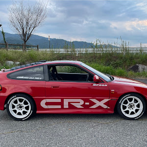 CR-X EF8