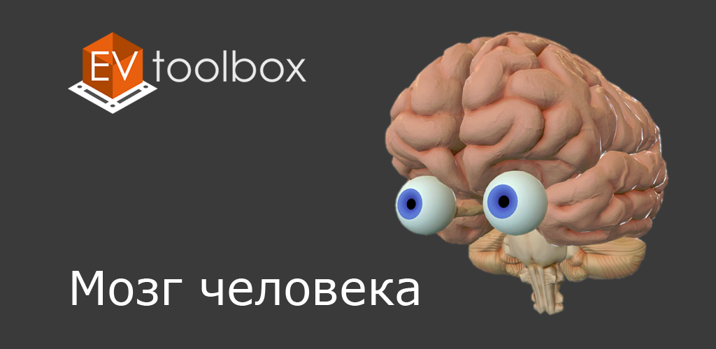 Приложение brain