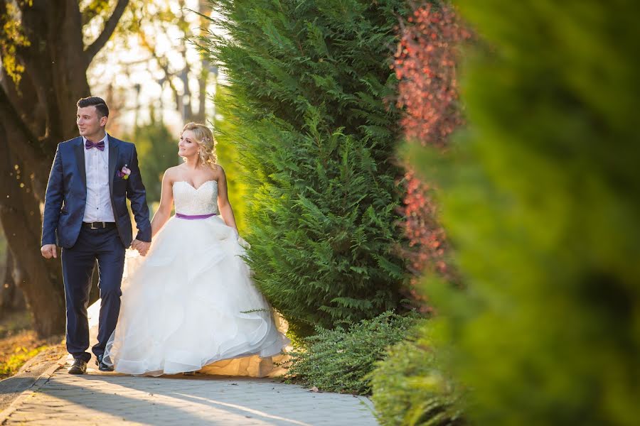 Fotógrafo de casamento Cristian Mocan (cristimocan). Foto de 11 de dezembro 2016