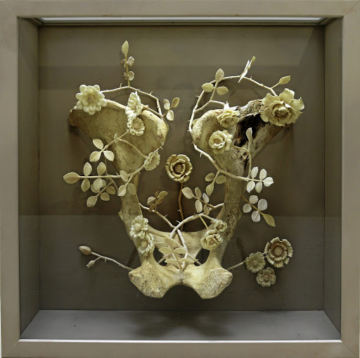 'Fragile Impermanence I', Giraffe bone, by Beckwith Kraft.