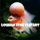 Download Louhan fish clipart For PC Windows and Mac 1.0