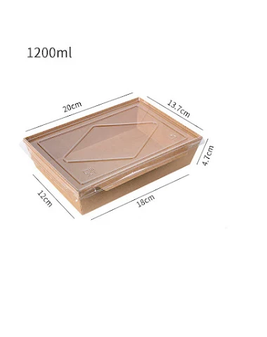 Boîte Bento Jetable en Papier Kraft - 0