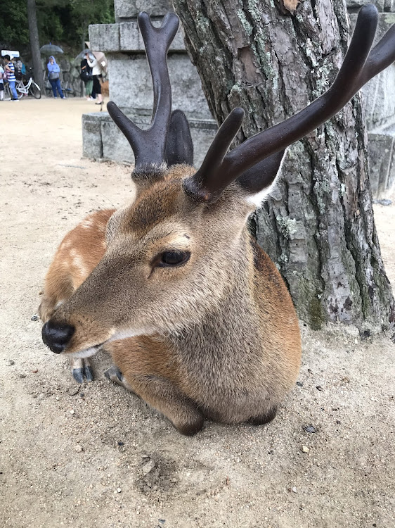 の投稿画像4枚目