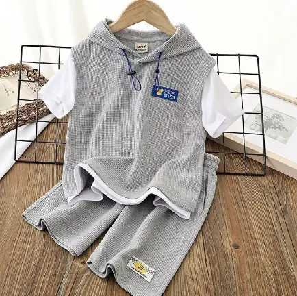 Jongens Hooded T-shirt met korte mouwen en dunne shorts, perfect voor casual zomerkleding. Comfortabel en ademend voor jongens.