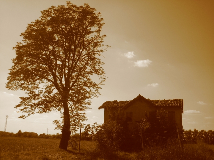 Na casa veccia. di JURIX