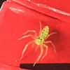 Magnolia Green Jumper