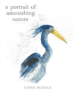 A Portrait of Astonishing Nature cover