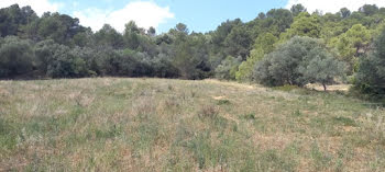 terrain à Bize-Minervois (11)