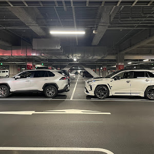 RAV4 MXAA54