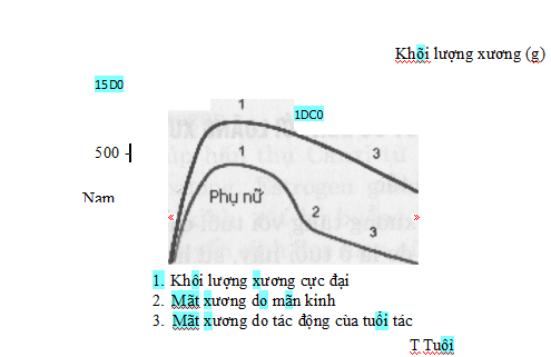 TẠI SAO LOÃNG XƯƠNG THƯỜNG GẶP Ở PHỤ NỮ HƠN Ở NAM GIỚI?