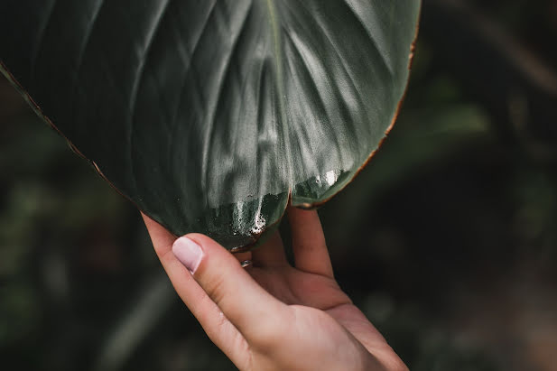 Photographe de mariage Veronika Tarakanova (viravira). Photo du 1 octobre 2018