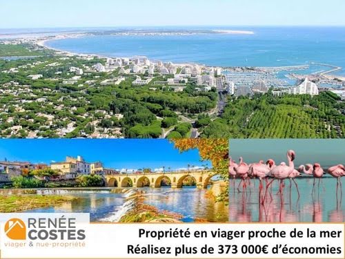 Vente viager 7 pièces 280 m² à Montpellier (34000), 140 950 €