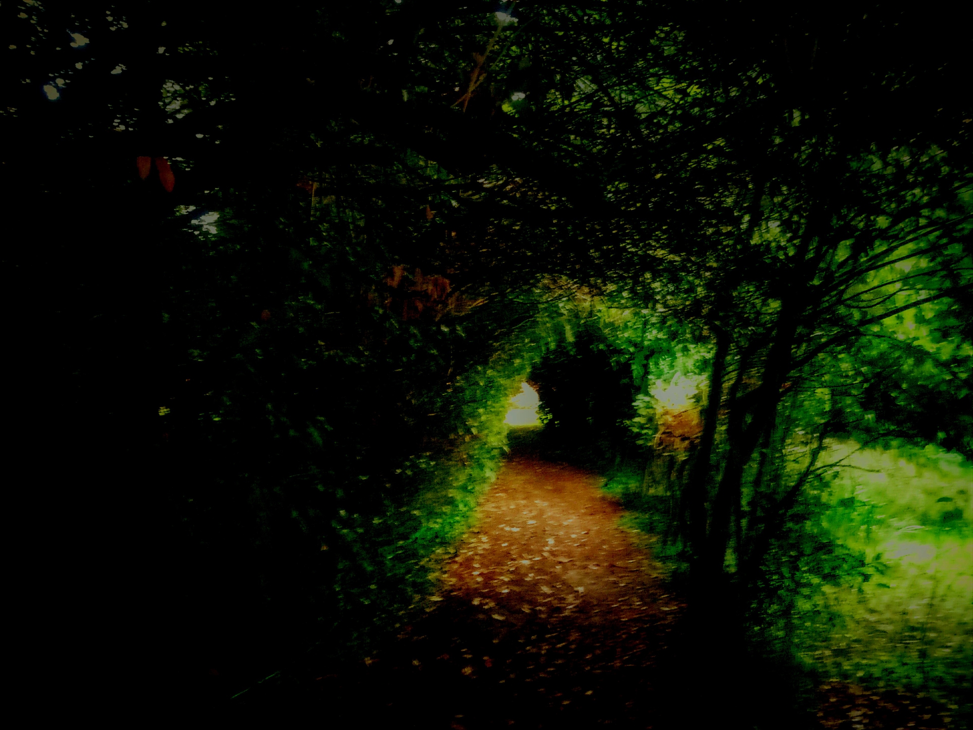 La luce in fondo al tunnel di castronuovo