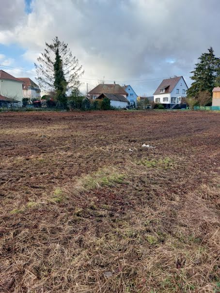 Vente terrain  460 m² à Barr (67140), 142 600 €