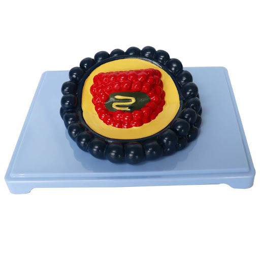 miniatures image - 5