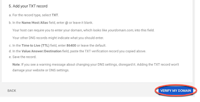 A red circle highlights the Verify My Domain button on Step 5. Add your TXT Record page of the wizard