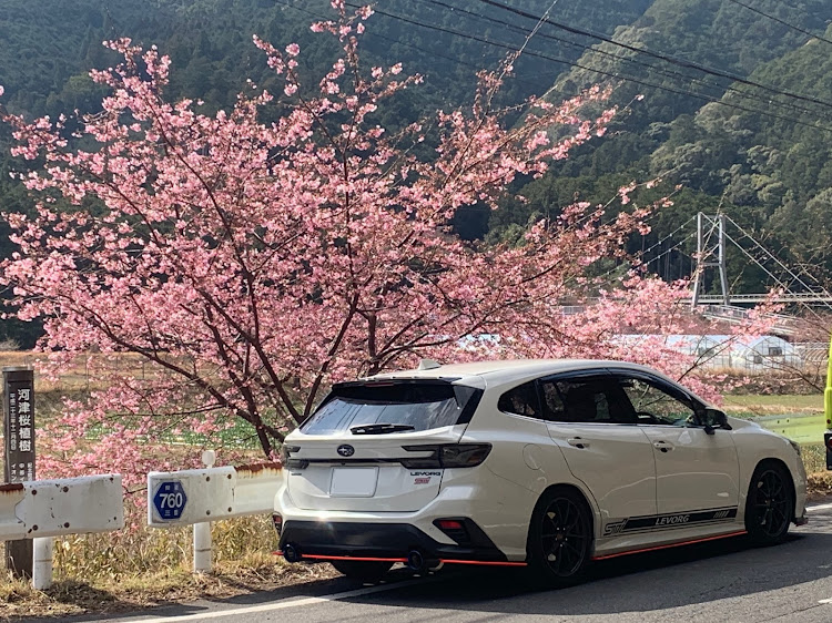 レヴォーグの春の風物詩と愛車・いつもいいね👍&コメントありがとうございます🙇🏻‍♂️✨に関するカスタム事例の投稿画像3枚目