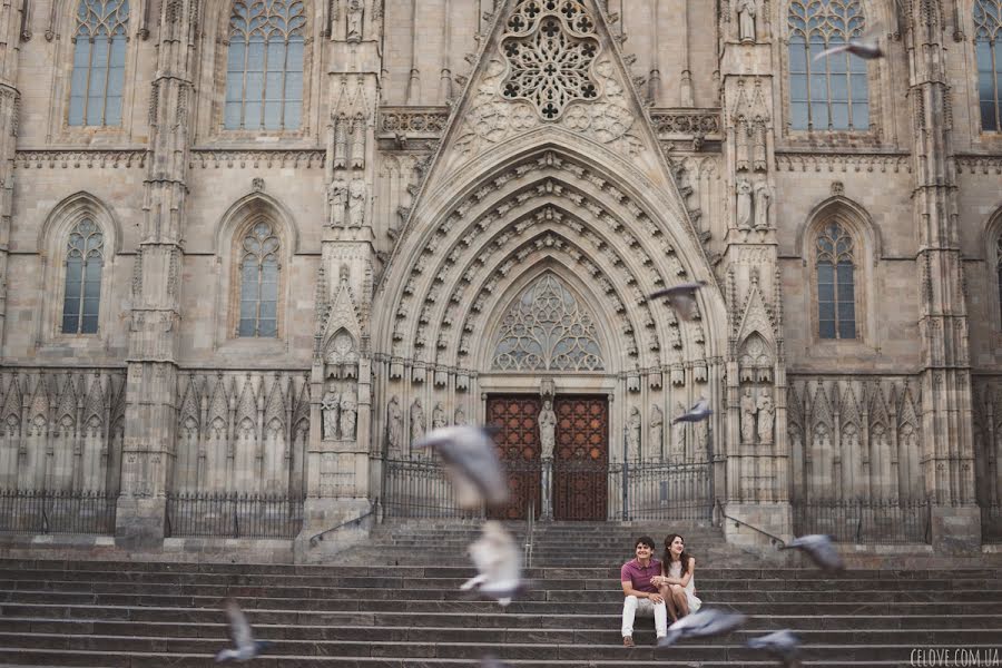 Fotografo di matrimoni Anna Gorbenko (annagorbenko). Foto del 15 ottobre 2014